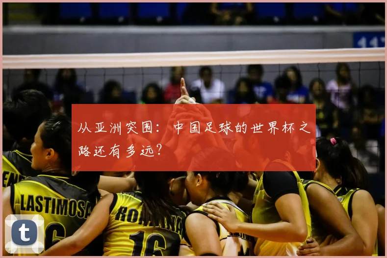 从亚洲突围：中国足球的世界杯之路还有多远？