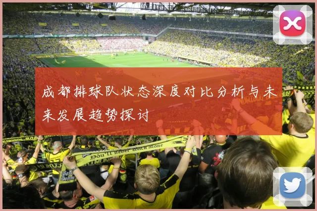 成都排球队状态深度对比分析与未来发展趋势探讨