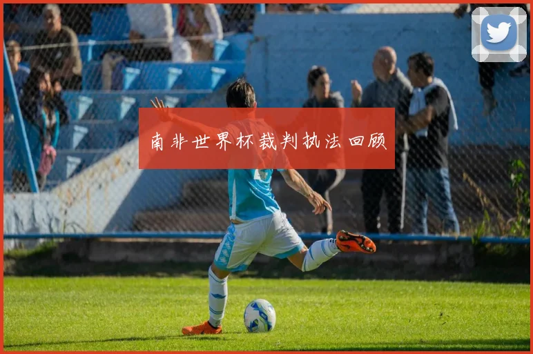 南非世界杯裁判执法回顾