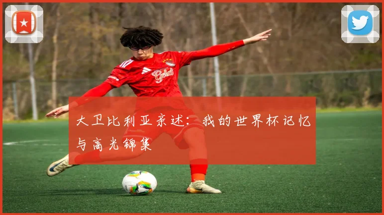 大卫比利亚亲述：我的世界杯记忆与高光锦集