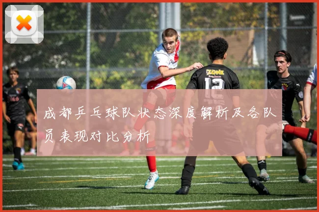 成都乒乓球队状态深度解析及各队员表现对比分析