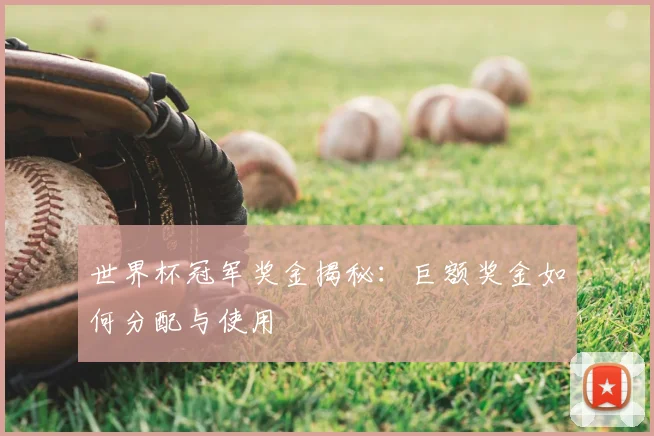 世界杯冠军奖金揭秘：巨额奖金如何分配与使用