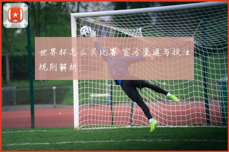 世界杯怎么买比赛 官方渠道与投注规则解析