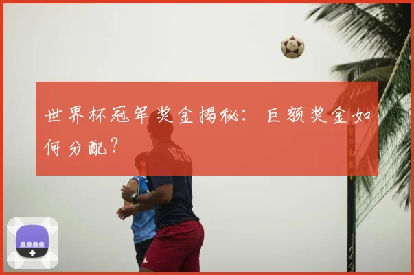 世界杯冠军奖金揭秘：巨额奖金如何分配？