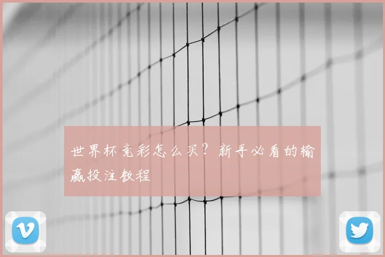 世界杯竞彩怎么买？新手必看的输赢投注教程