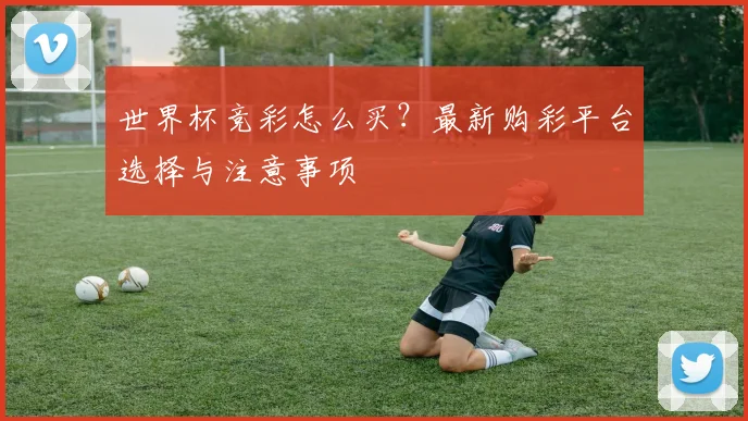 世界杯竞彩怎么买？最新购彩平台选择与注意事项