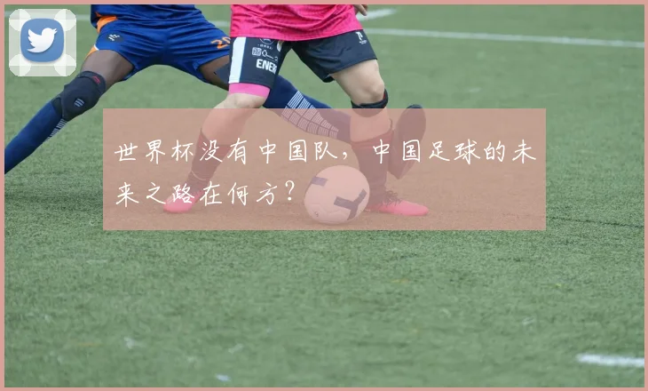 世界杯没有中国队，中国足球的未来之路在何方？