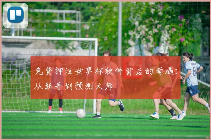免费押注世界杯软件背后的奇遇：从新手到预测大师
