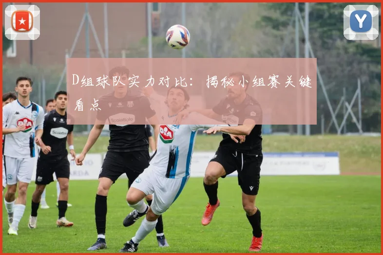 D组球队实力对比：揭秘小组赛关键看点