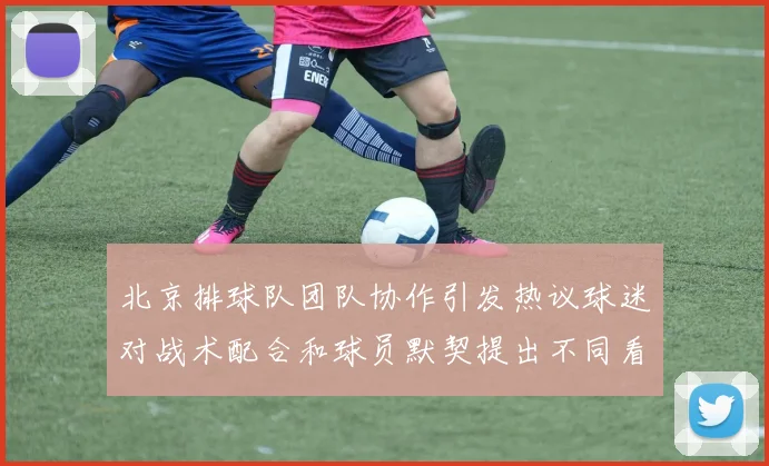 北京排球队团队协作引发热议球迷对战术配合和球员默契提出不同看法