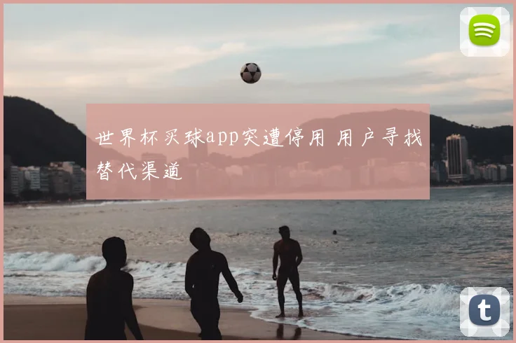 世界杯买球app突遭停用 用户寻找替代渠道