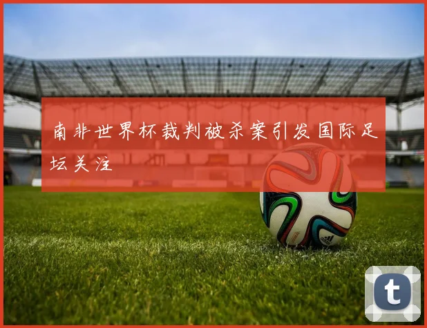 南非世界杯裁判被杀案引发国际足坛关注