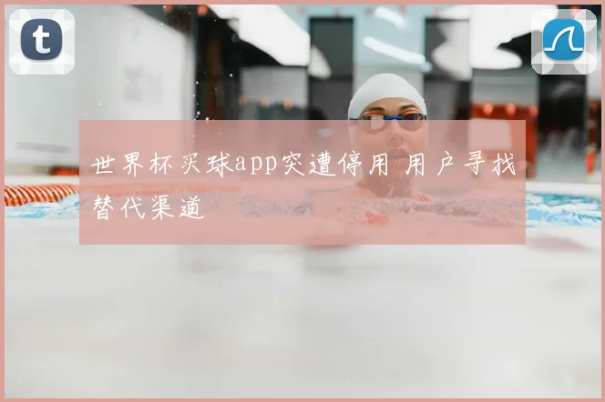 世界杯买球app突遭停用 用户寻找替代渠道