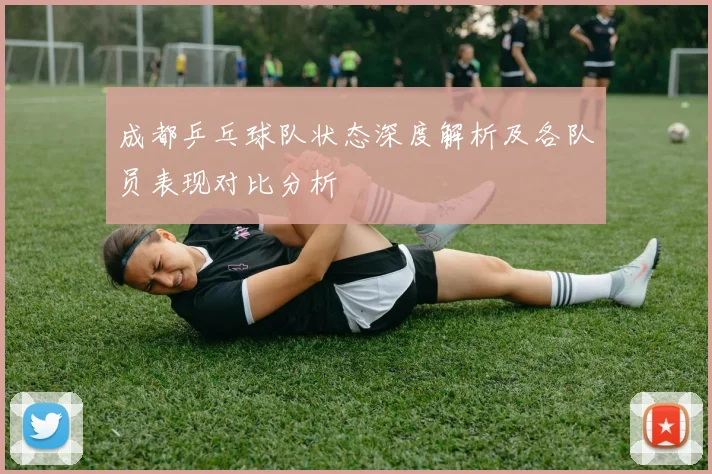 成都乒乓球队状态深度解析及各队员表现对比分析