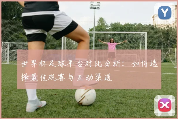世界杯足球平台对比分析:如何选择最佳观赛与互动渠道