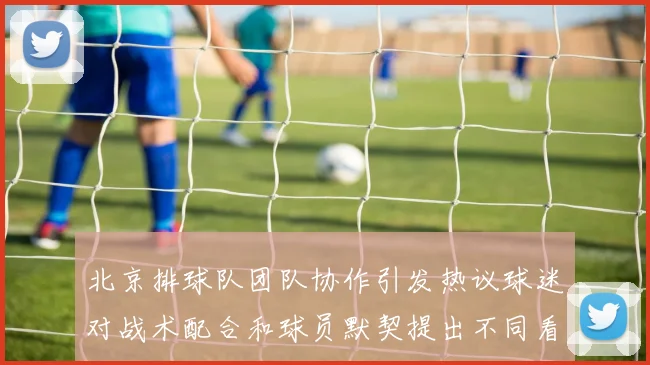北京排球队团队协作引发热议球迷对战术配合和球员默契提出不同看法