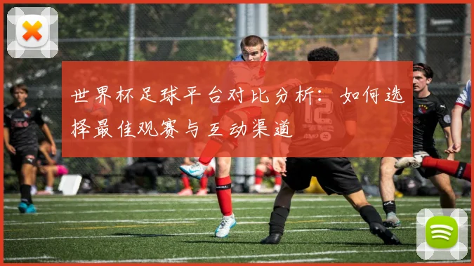 世界杯足球平台对比分析：如何选择最佳观赛与互动渠道