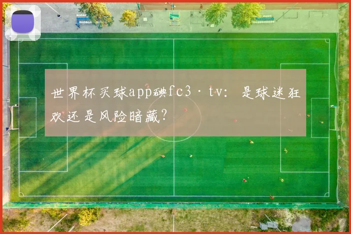 世界杯买球app碘fc3·tv：是球迷狂欢还是风险暗藏？