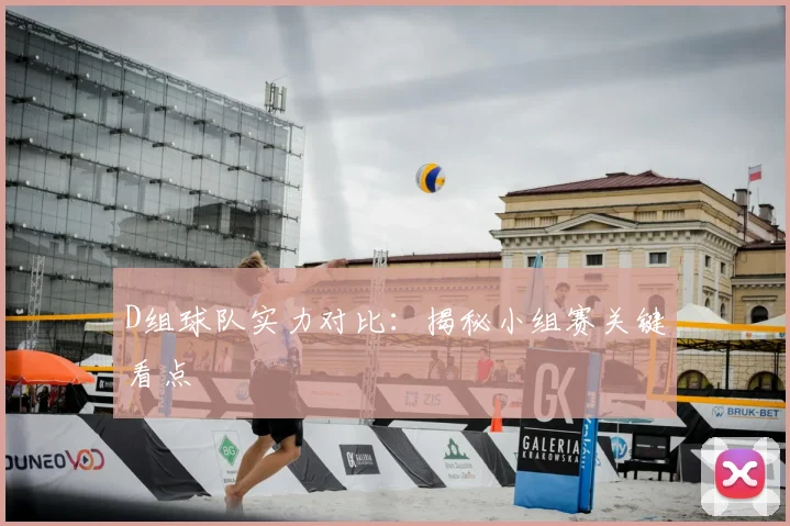 D组球队实力对比:揭秘小组赛关键看点
