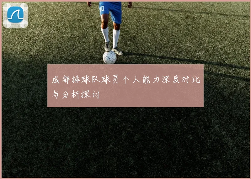 成都排球队球员个人能力深度对比与分析探讨