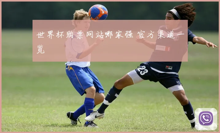 世界杯购票网站哪家强 官方渠道一览